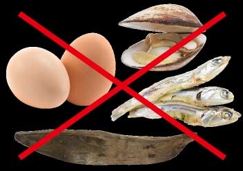 動物性タンパク質不使用の例2