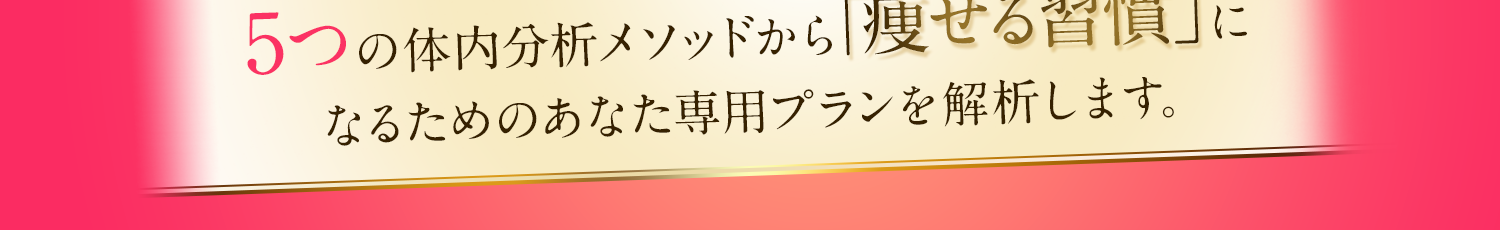 「痩せる習慣」になるためのあなた専用プランを解析します。
