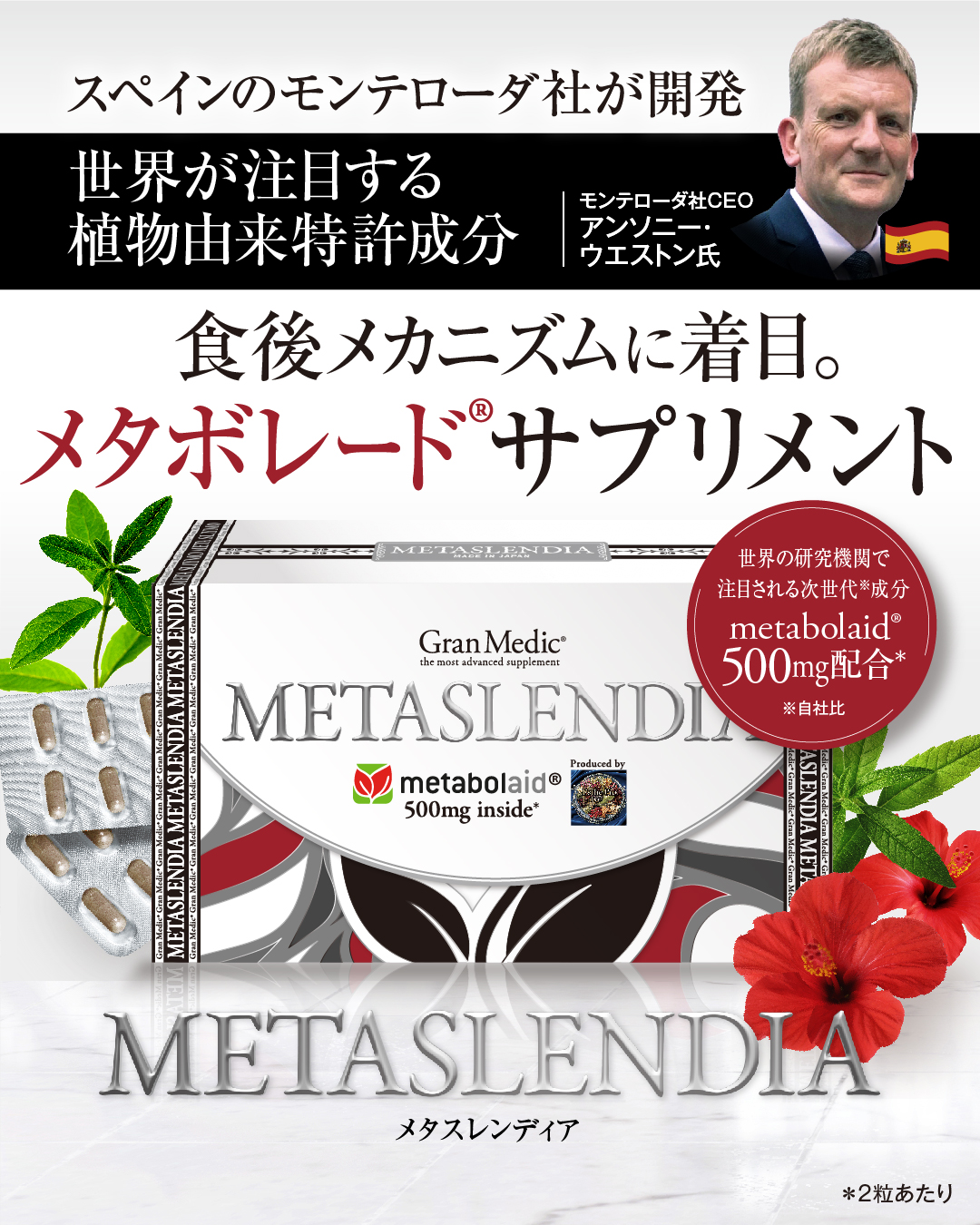 メタスレンディア